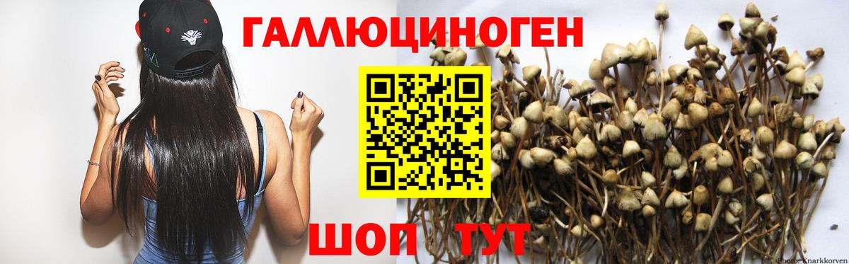 Псилоцибиновые грибы мухоморы  Вход с VPN  Гагарин  Галлюциногенные грибы прущие грибы 